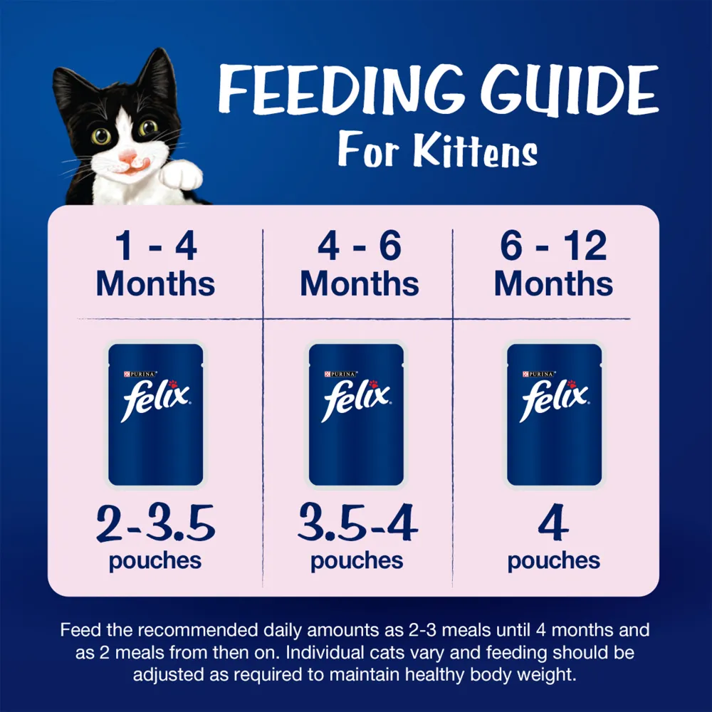 Purina Felix Tuna with Jelly Kitten Wet Food